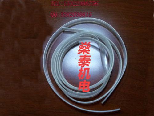 扁气囊